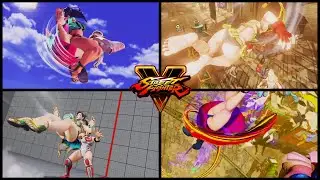 Street fighter V all characters (swimsuit) critical art 