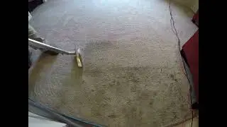 Eco-Friendly Residential & Commercial Deep Cleaning | Stain & Odor Removal in Northern VA | Call Now