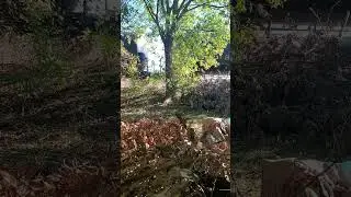 What is a Rail fanner ABNSF went by so I took a video I almost didn't make it I almost missed it!!!!