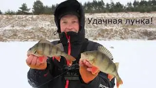 RB Optima-ловля окуня зимой.