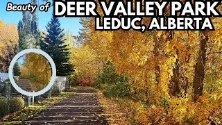 Deer Valley Park: A Hidden Gem of Leduc