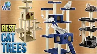 10 Best Cat Trees 2018