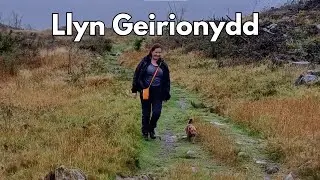 Llyn Geirionydd & Llyn Crafnant Dog Hike: Serene Woodland Walk & Hidden Slate Ruins in Snowdonia