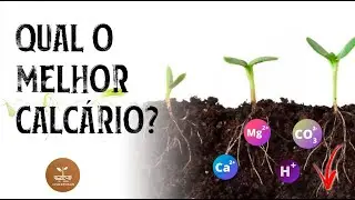 QUAL O MELHOR CALCÁRIO? Tipos de calcário!