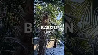 QUE FAIRE EN HIVER AU BASSIN ?#conseils #astuce #bassin #jardin #hiver