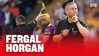 Top hurling referee Fergal Horgan explains why he has walked away