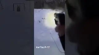 Kel-Tec P-17 with Laser Light