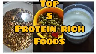 Top 5 cheap protein rich foods for weight loss| Stay Healthy|itsamu2020vlogs