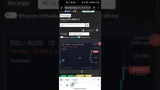Rise City nft se fue a la luna pero puedes perderlo todo ojo con esta informaci&oacute;n