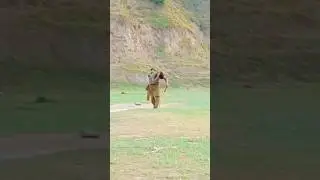 best baller hit a good batsman on a head #cricket #championstrophy #cricketlover