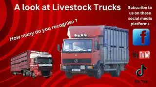 British Livestock Trucks - recognise any? #cattle, #trucking
