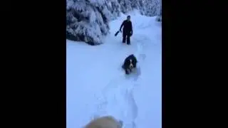Snowshoeing - Dec 21/14