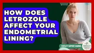 How Does Letrozole Affect Your Endometrial Lining? - Fertility Support Channel