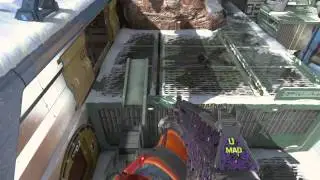 New Royalty guns Advanced Warfare ps4