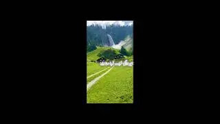Birds sounds   relaxing nature sounds calm music tuneone 🦅#subscribe #nature #rain #shorts #viral 1