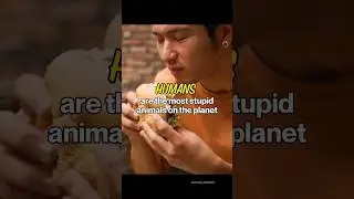 The Stupidest Animal on the Planet