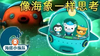 海底小纵队 - 像海象一样思考 | 集完整版