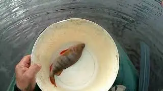 Fishing from Episodes...