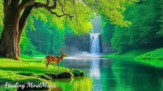 Music Heals the Mind Deeply 🌿 Music Therapy Heals the Heart & Blood Vessels, Bringing Peace