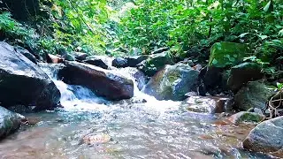 Natural River Water for Calm Sleep