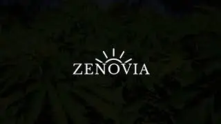 🌿 Zenovia Bio CBD &Ouml;l &ndash; Vollspektrum f&uuml;r mehr Entspannung & Wohlbefinden 🌿