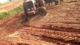 Mf 292 E plantadeira TATU