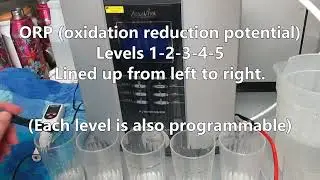 Installing & Testing the Delphi H2 Water Ionizer