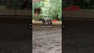Deep breaths #horse #equestrianvibes #equestrian #fail #scary #deepbreaths
