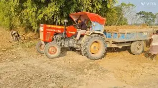 Tractor Working Time | Swaraj 855FE Hard Work 🚜