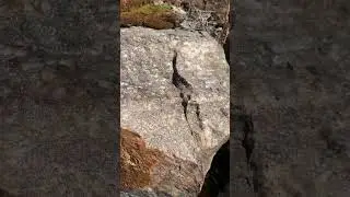Rock of the week #84: Uranium Mineralization in Outcrop