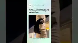 Manager sadism --- especially during weekends 🤐🫡