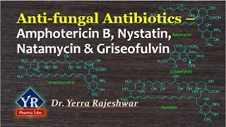 Antifungal Antibiotics - Amphotericin B, Nystatin, Natamycin & Griseofulvin | YR Pharma Tube
