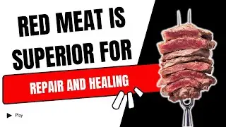 Red meat is superior for repair and healing