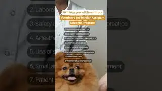 10 things you will learn in our Veterinary Technician Assistant Diploma Program