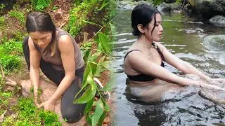 30-Day Survival Challenge: Living Off Hunting, Facing the Monster Python | Hanh Bushcraft