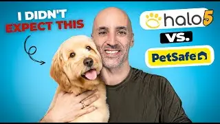 Halo Collar 5 vs PetSafe Guardian GPS Fence: Which One Wins?