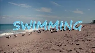Swimming | A Short Film by Harrison Root