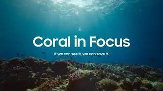 Coral in Focus | Samsung