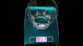 5000g / 1g LCD Digital Kitchen Scale review - From Gearbest