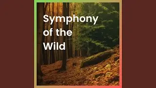 Refreshing Forest Sounds