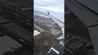 flight