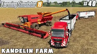 Planting beets, harvesting poppies | Kandelin Farm | Farming simulator 19 | Timelapse #40