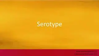 Pronunciation of the word(s) 