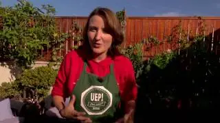 Planter hivernal a una capsa de bombons - Uep IB3