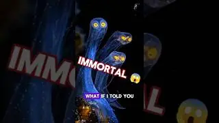 IMMORTAL ANIMAL #factopia #facts