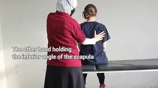 Sitting Stability: Rhythmic Stabilization