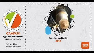 La pluriactivit&eacute;