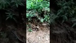 The Trac Trail Area Gasspoll(25)