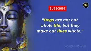 Buddha Quotes On Animal That touch your Heart | Quotes In English