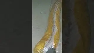 Sawa 500 rounds by M.S Fari&ntilde;as Fireworks #paputok #fireworks #firecracker #newyear2026 #judasbelt